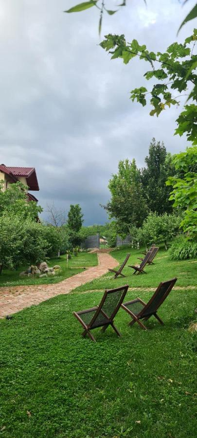 Enpi Lake Resort Iasi Ngoại thất bức ảnh