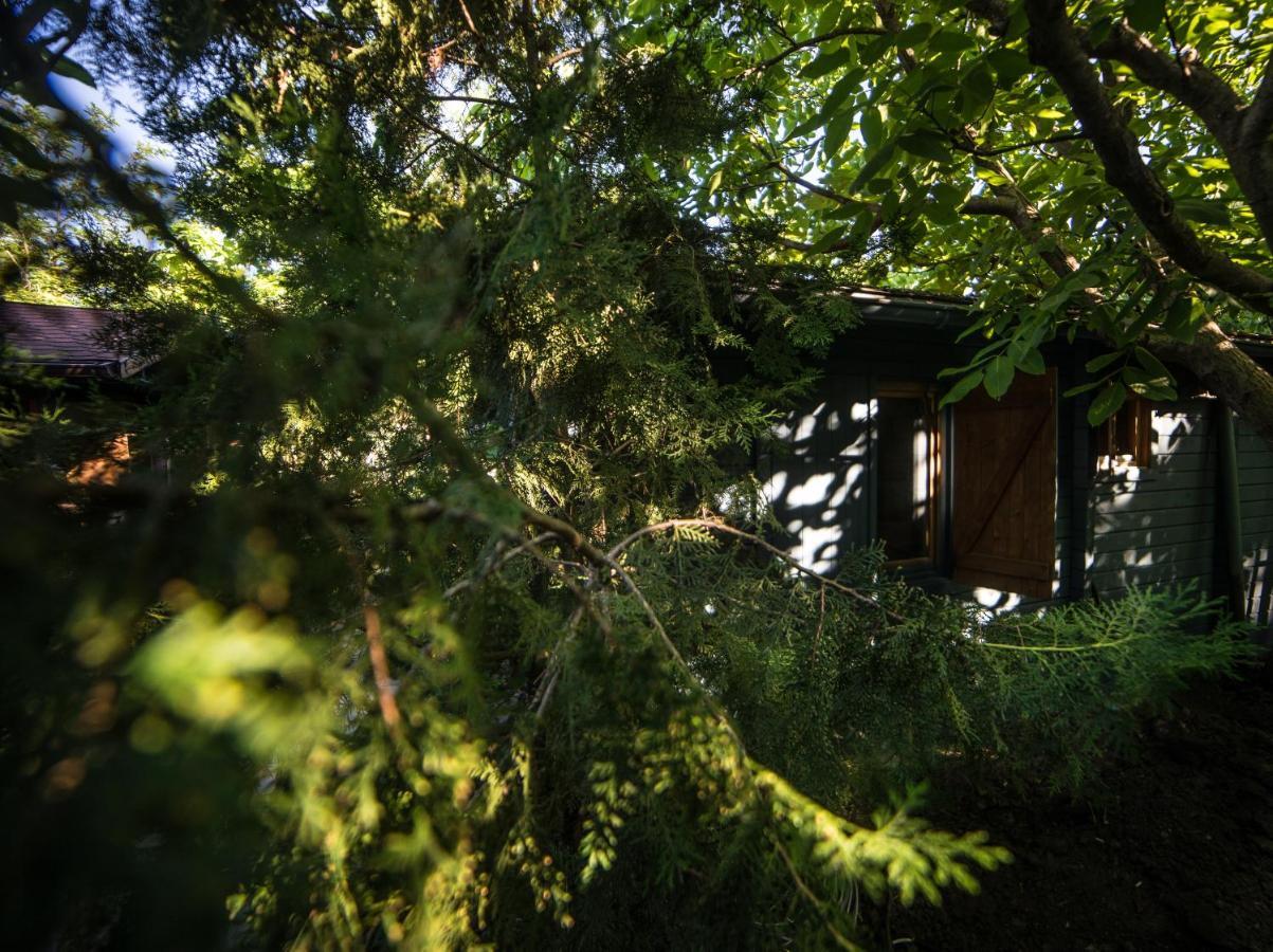 Enpi Lake Resort Iasi Ngoại thất bức ảnh